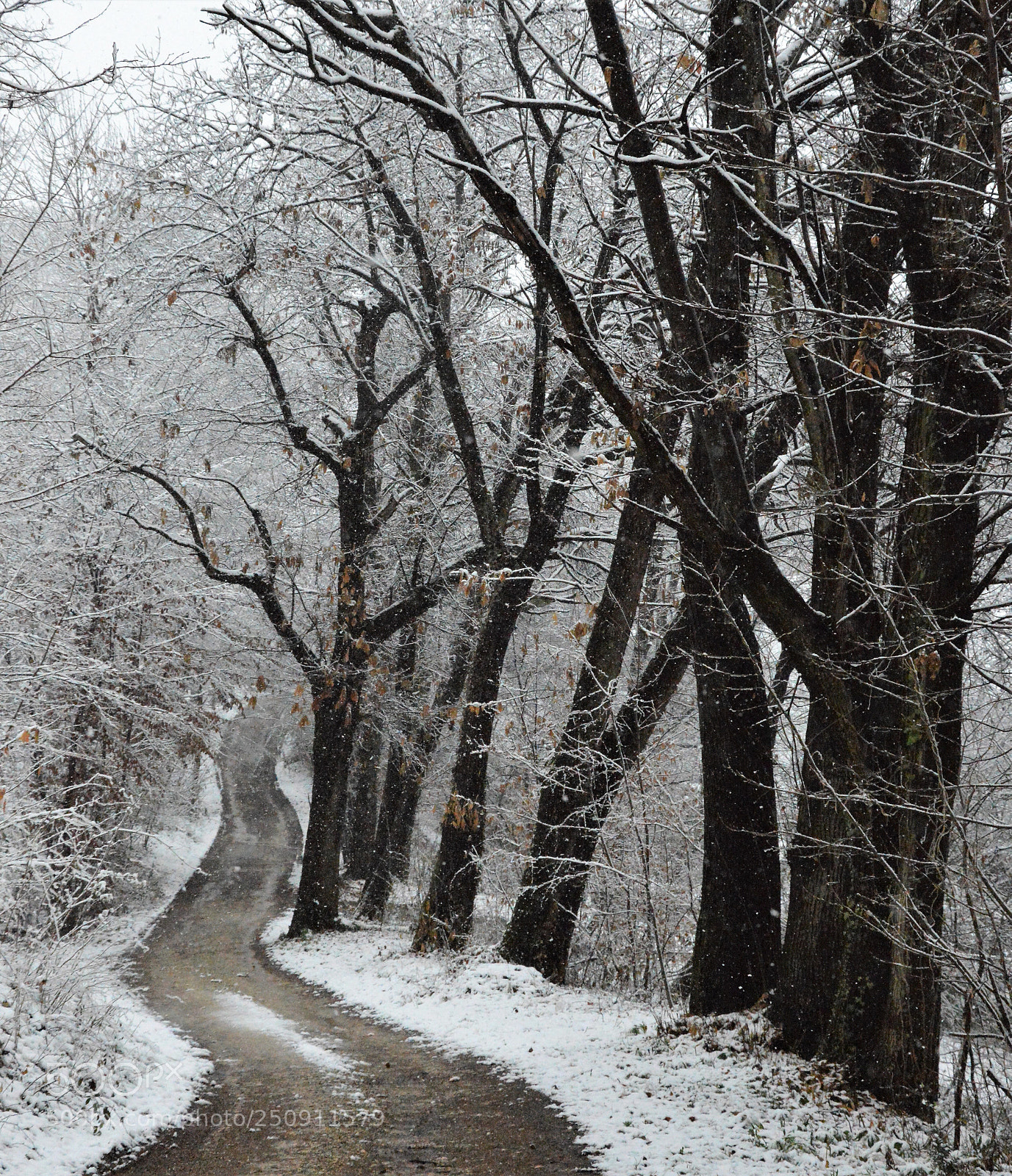Nikon D3200 sample photo. Snow in a march photography
