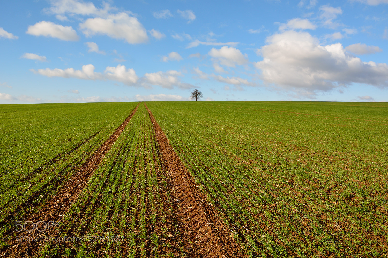 Nikon D7100 sample photo. ... fields of atumn ii ... photography