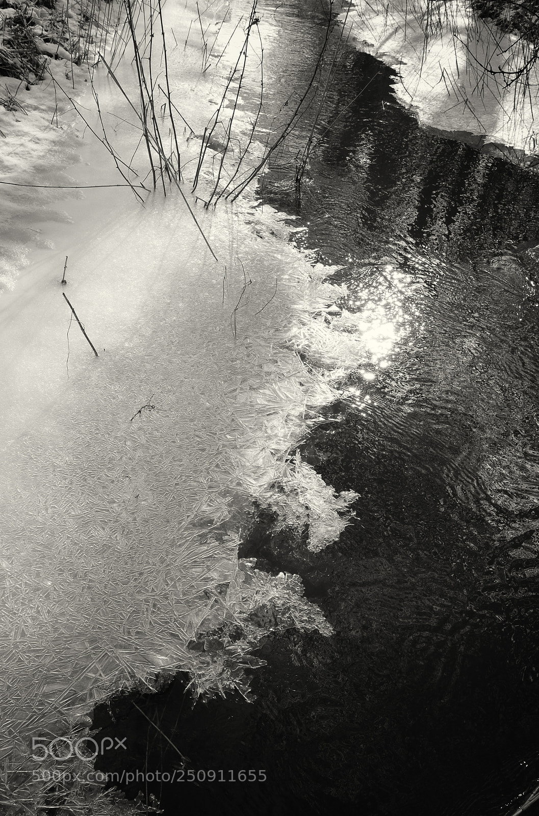 Nikon D7200 sample photo. March photography