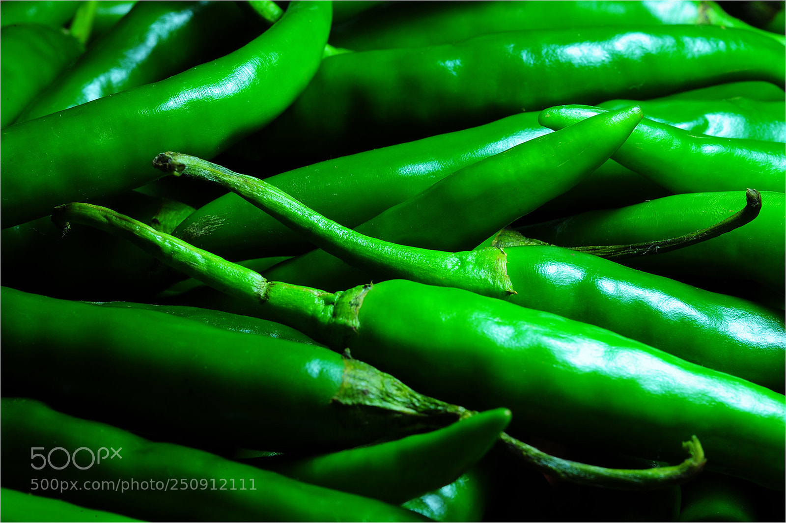 Nikon D700 sample photo. Green chillis photography