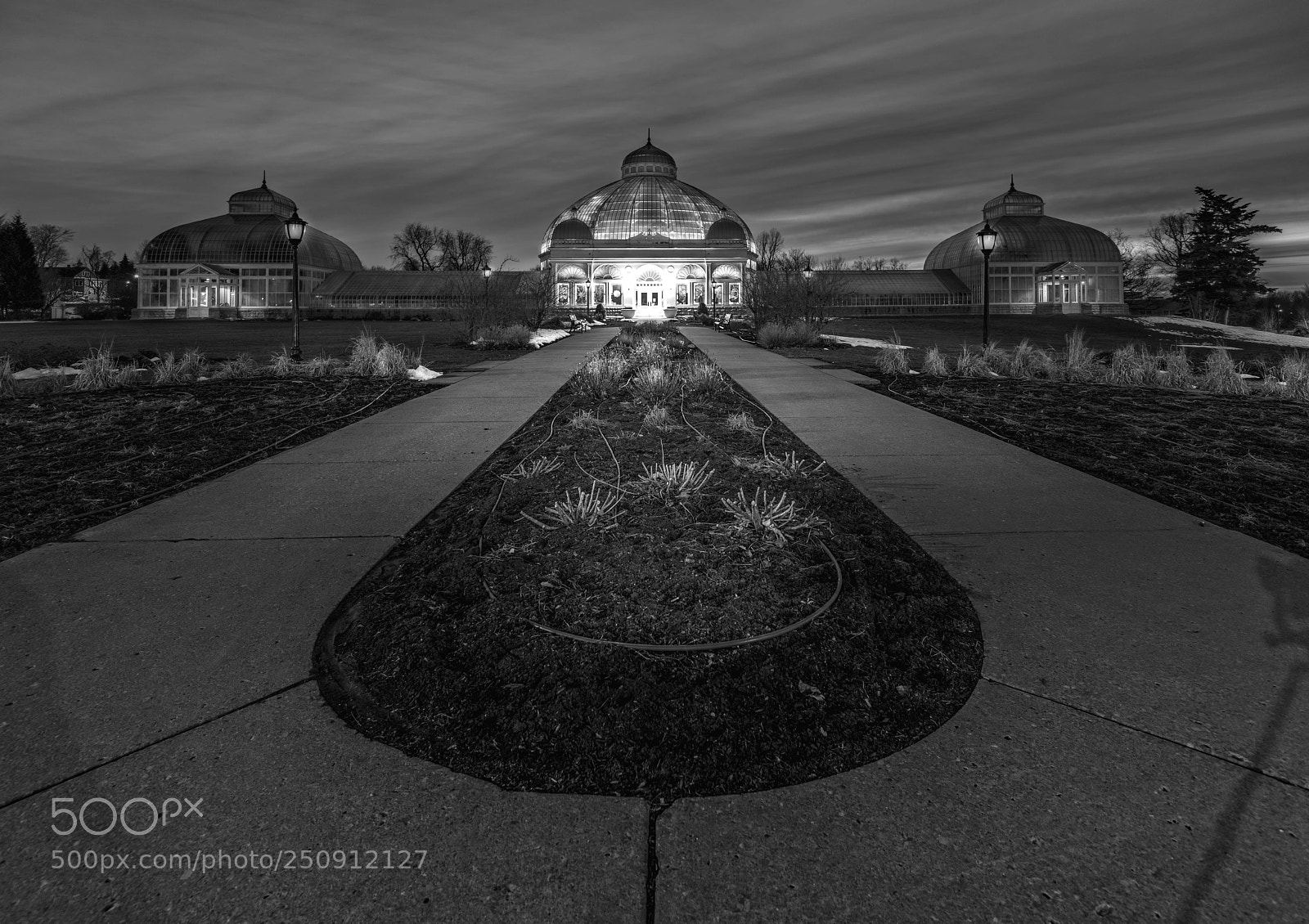 Nikon D850 sample photo. The botanical gardens photography