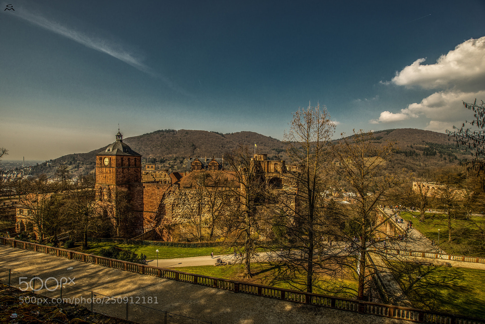Nikon D800 sample photo. Heidelberg castle - the photography