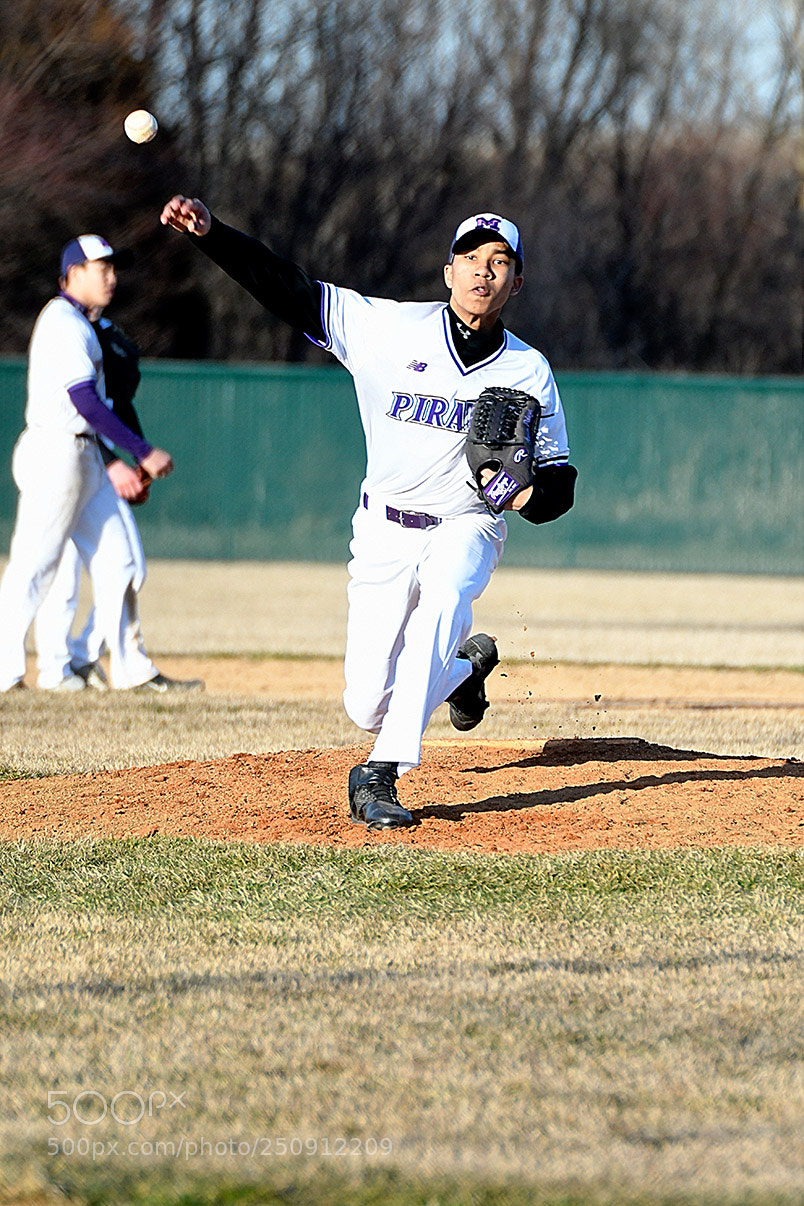 Nikon D500 sample photo. 3-22_0235.jpg photography