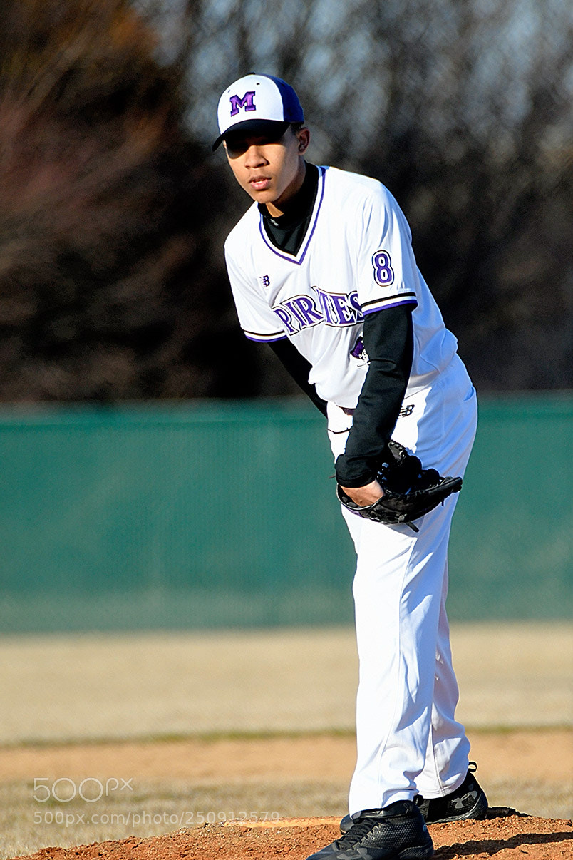 Nikon D500 sample photo. 3-22_0239.jpg photography