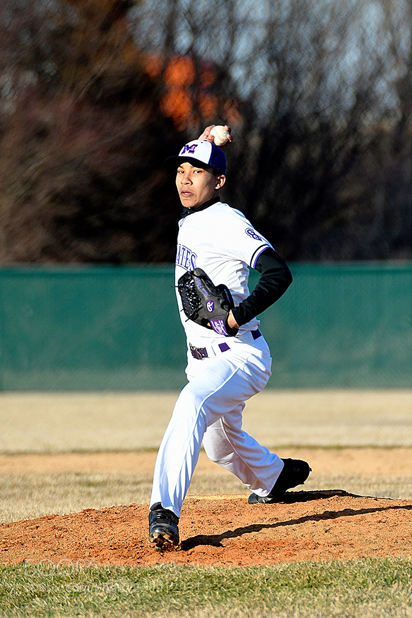 Nikon D500 sample photo. 3-22_0241.jpg photography