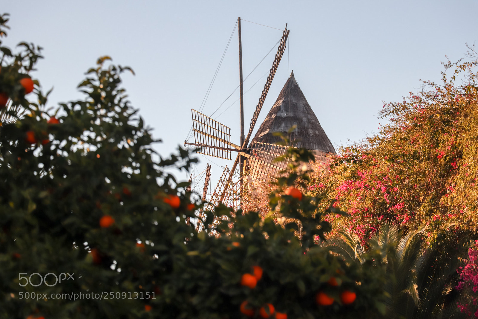 Canon EOS 77D (EOS 9000D / EOS 770D) sample photo. The mill photography
