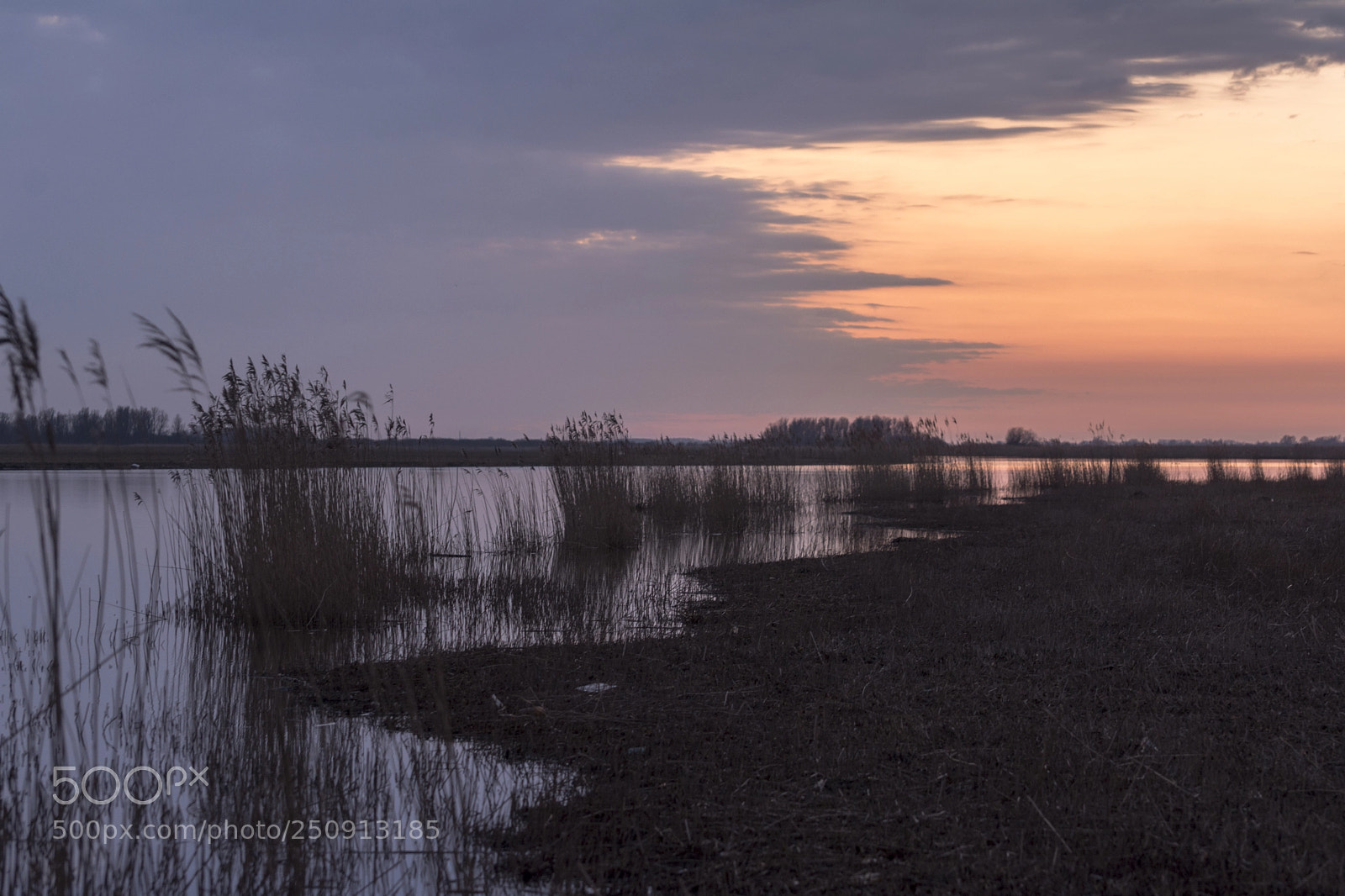 Nikon D7100 sample photo. Follow the river photography