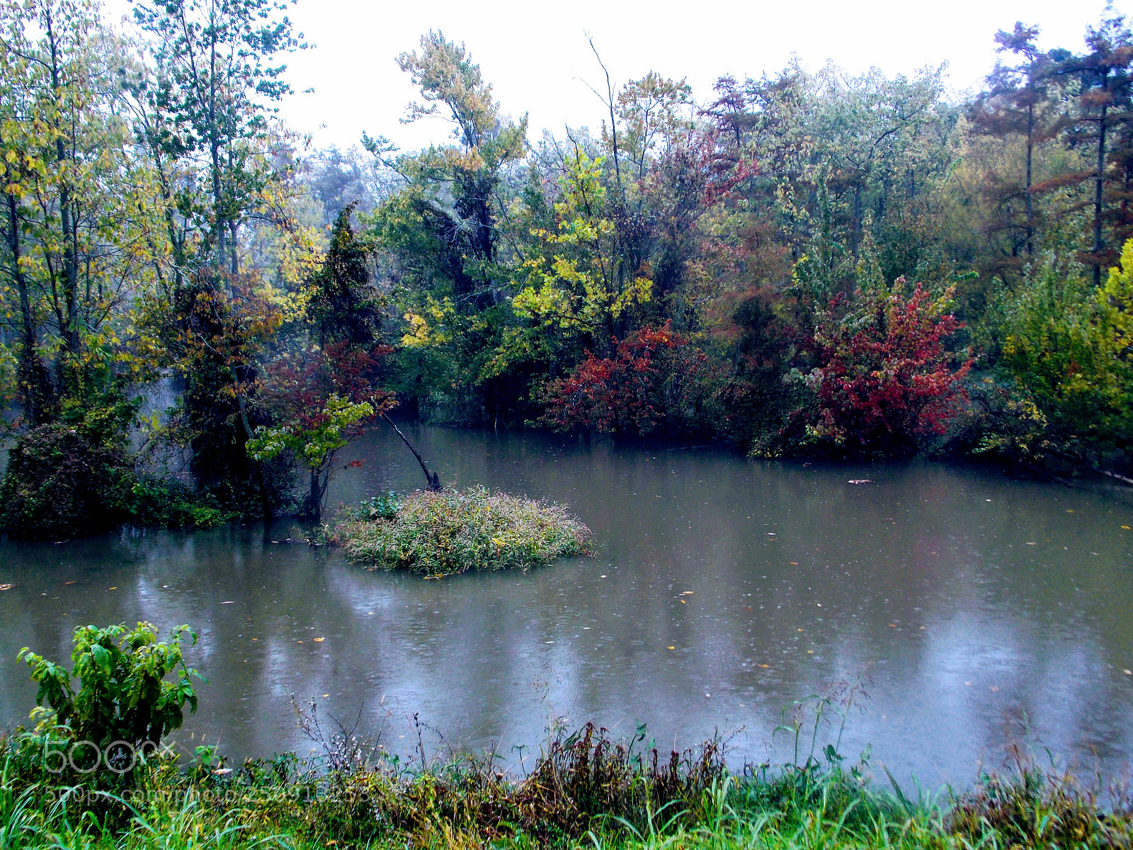 Nikon Coolpix L810 sample photo. Such beauty photography