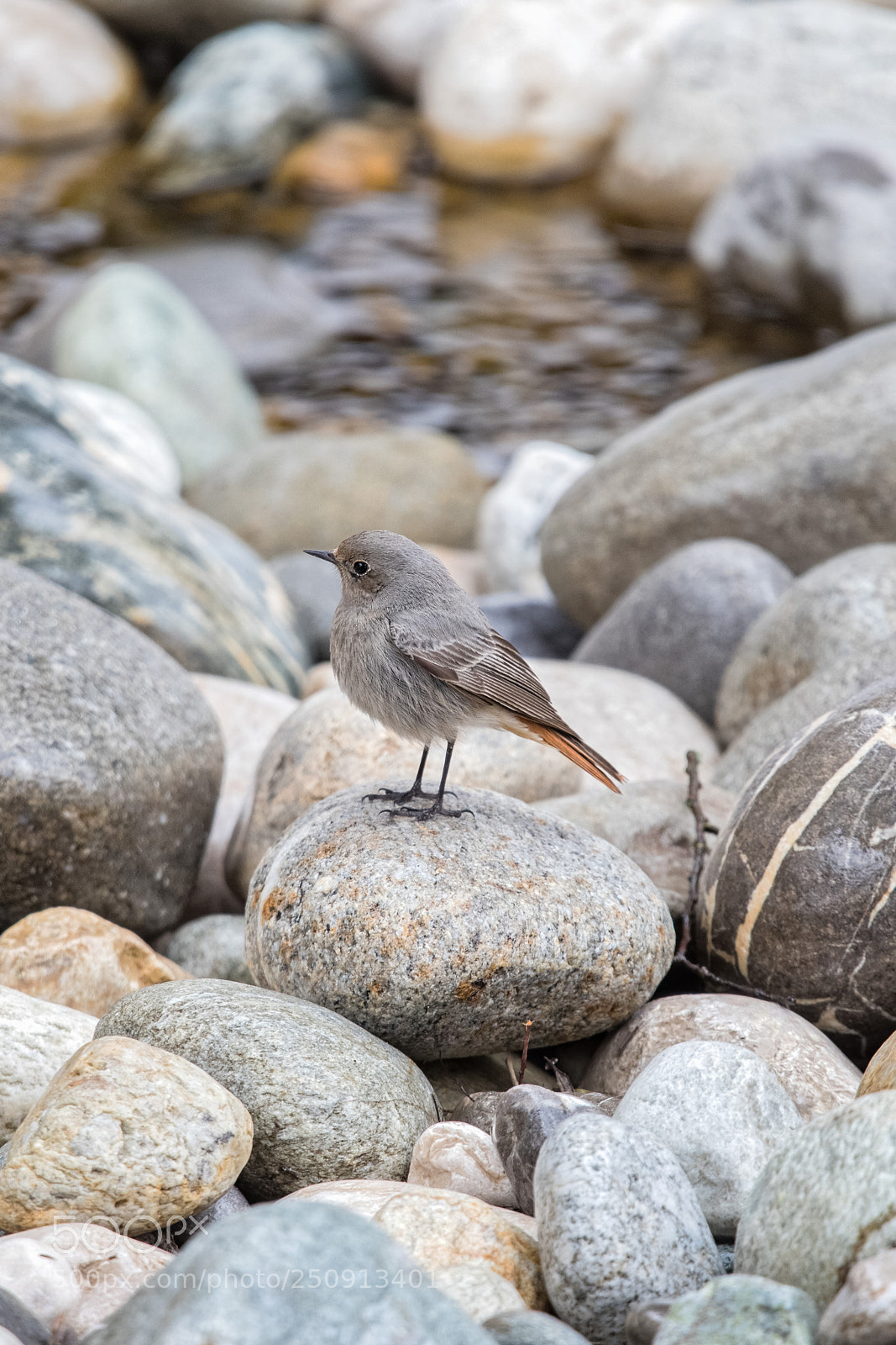 Canon EOS 6D Mark II sample photo. Stone eggs photography