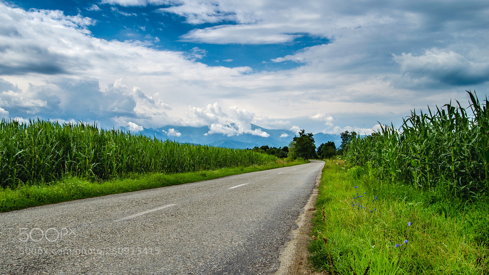 Nikon D5100 sample photo. The way out photography