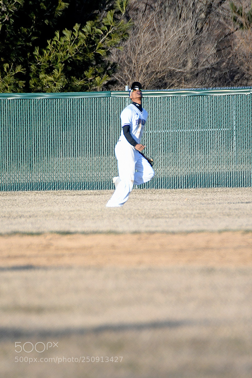 Nikon D500 sample photo. 3-22_0250.jpg photography
