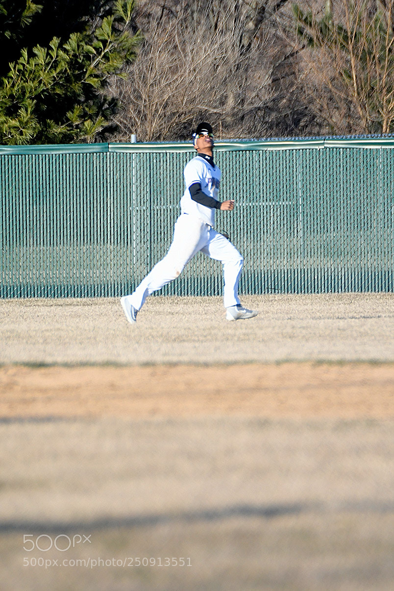 Nikon D500 sample photo. 3-22_0251.jpg photography
