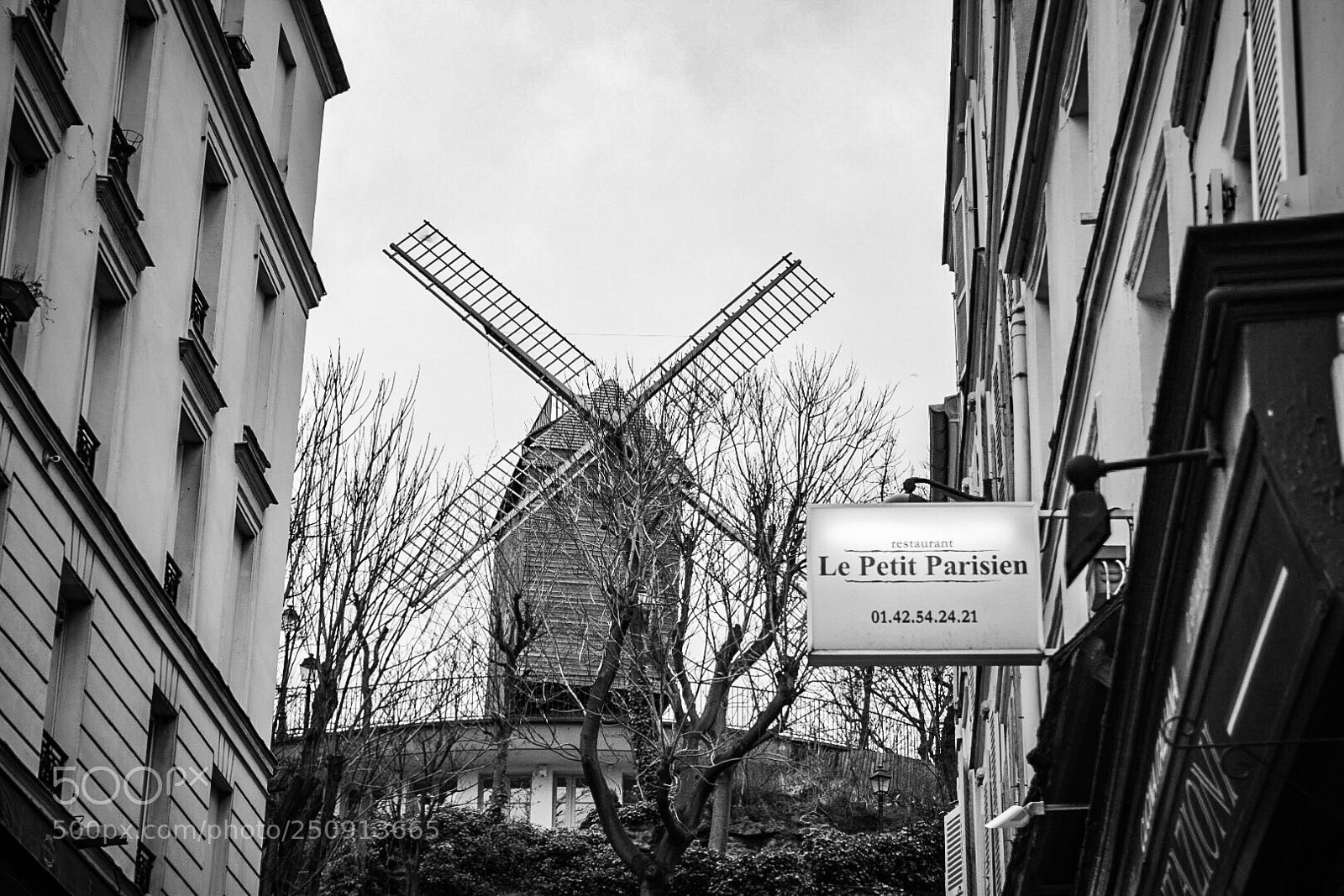 Nikon D5300 sample photo. Montmartre mill photography