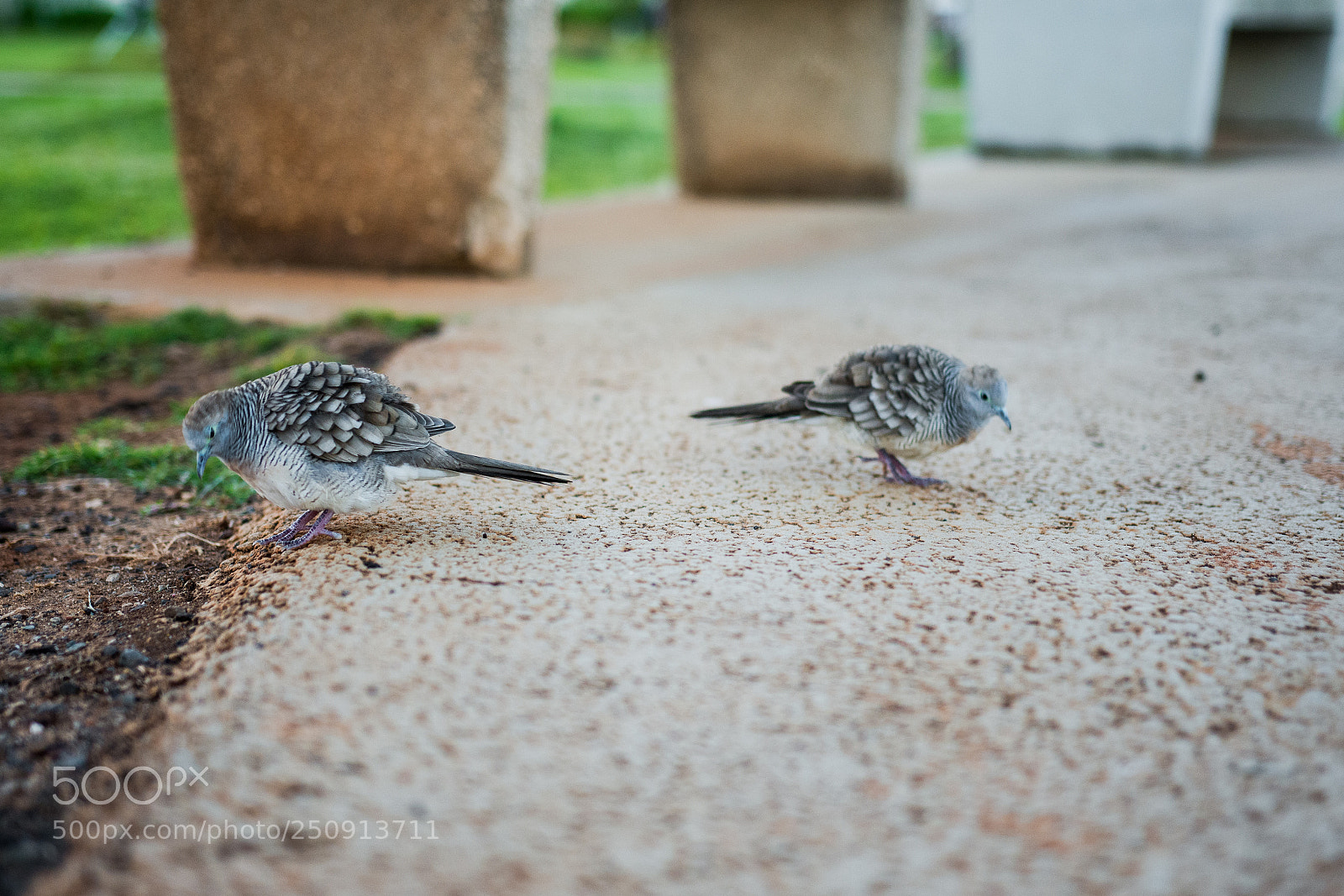 Nikon D7200 sample photo. Tired photography
