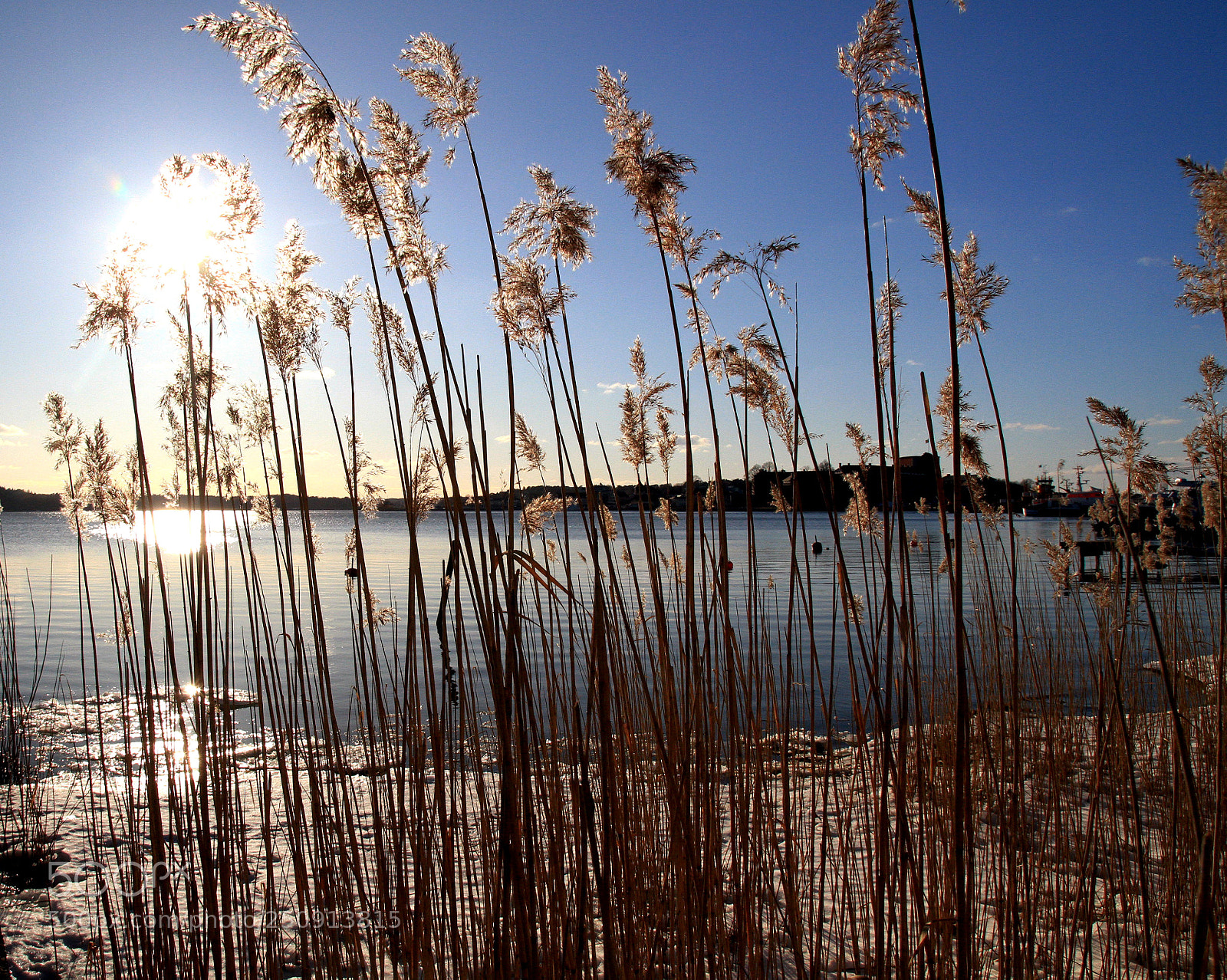 Canon EOS 7D sample photo. Spring sunshine photography