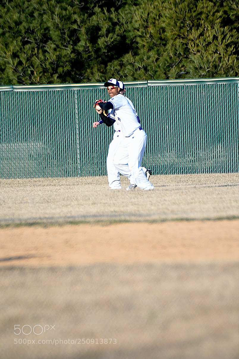Nikon D500 sample photo. 3-22_0258.jpg photography