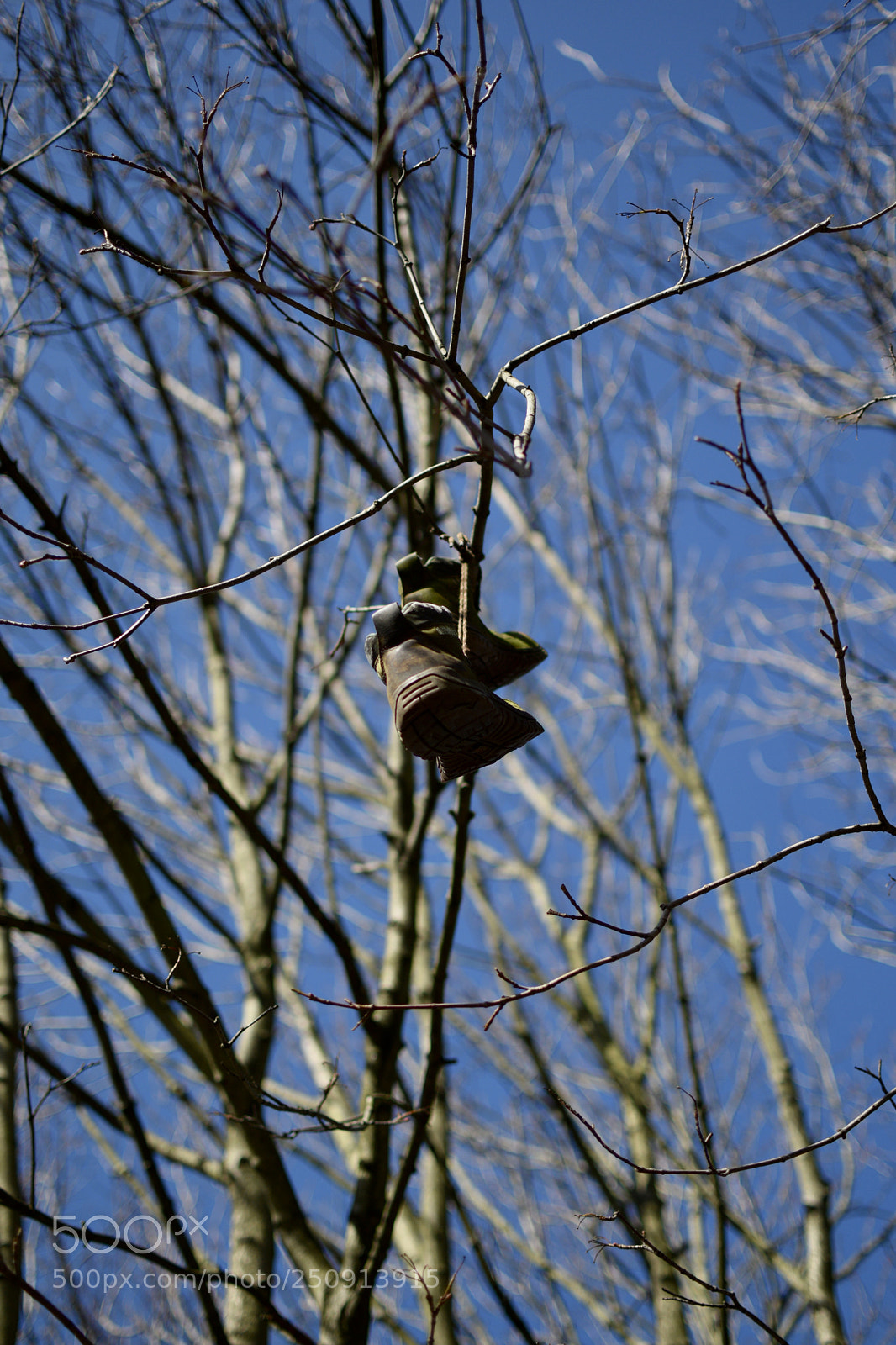 Nikon D3300 sample photo. Air walks photography