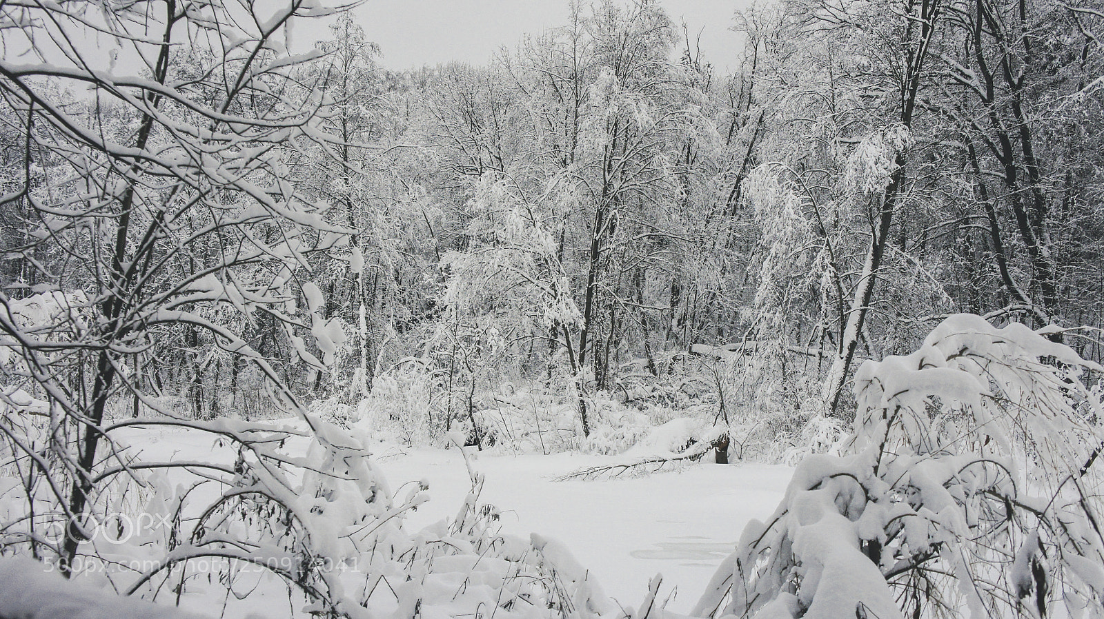 Sony Alpha NEX-5 sample photo. Heart of the winter photography