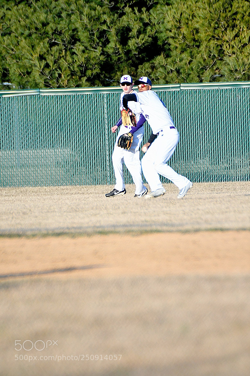 Nikon D500 sample photo. 3-22_0260.jpg photography