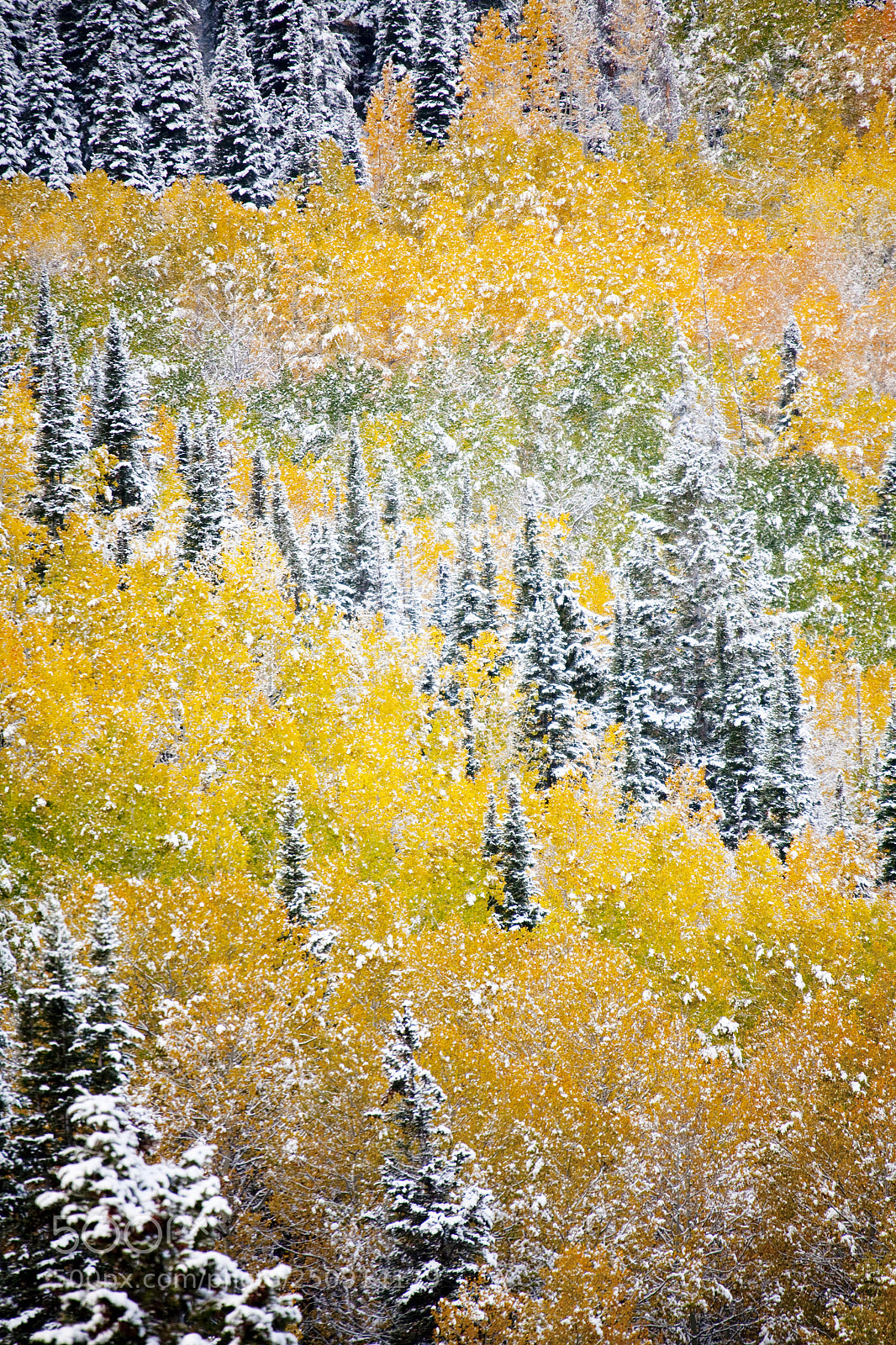 Canon EOS 5D sample photo. Fallcolors photography