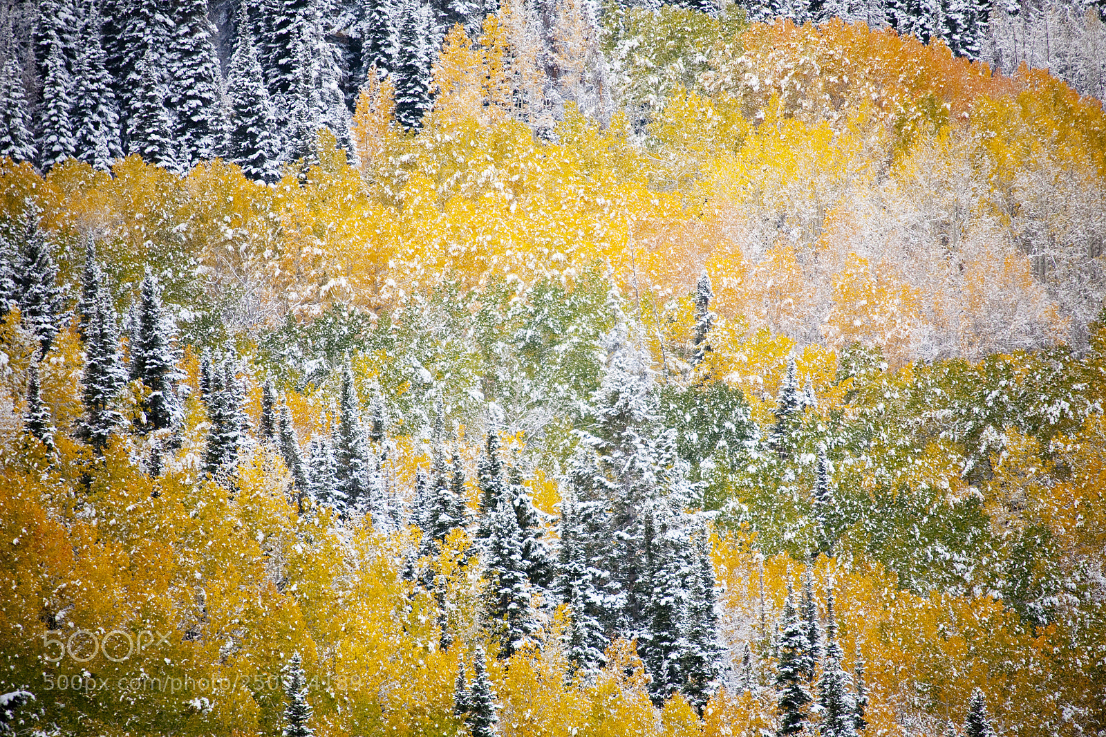 Canon EOS 5D sample photo. Fallcolors photography