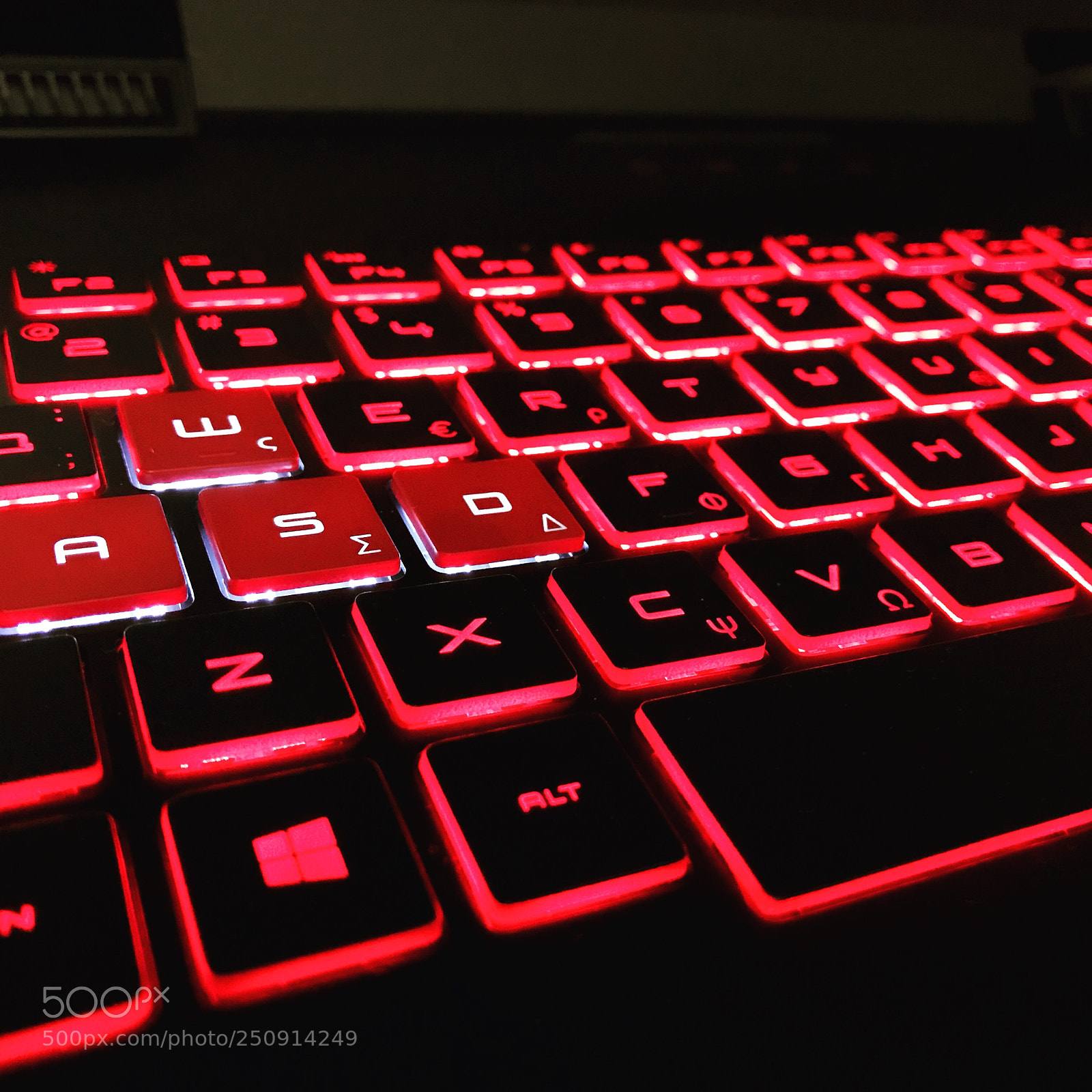 Apple iPhone 7 Plus sample photo. Wasd photography