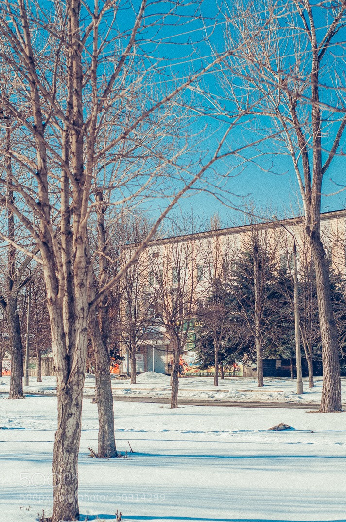Nikon D300S sample photo. Untitled photography