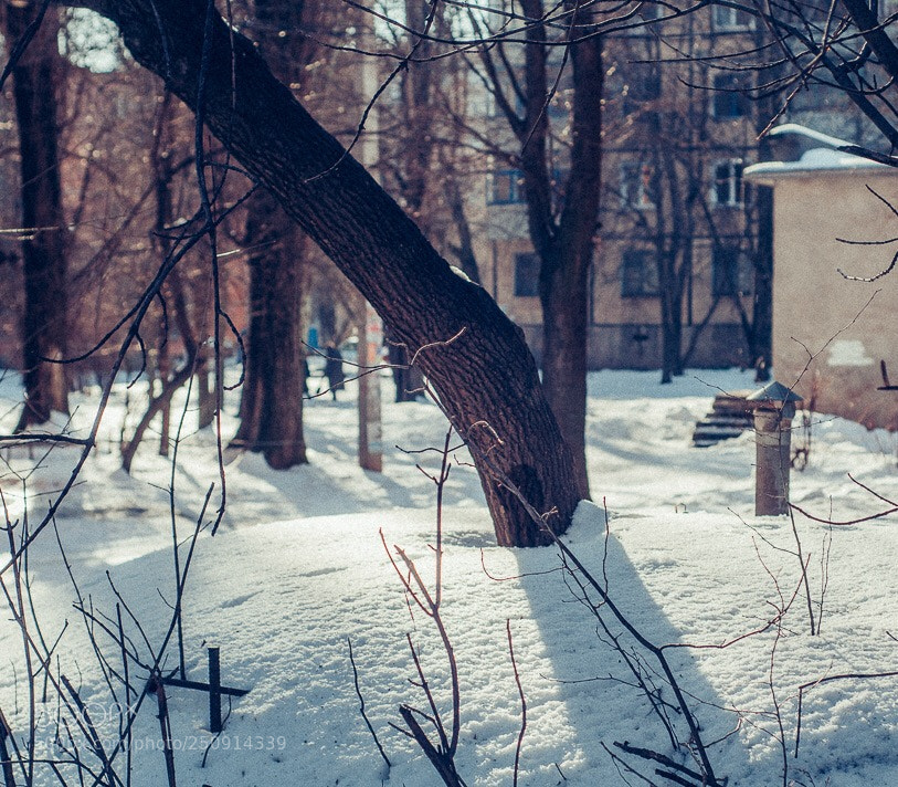 Nikon D300S sample photo. Untitled photography