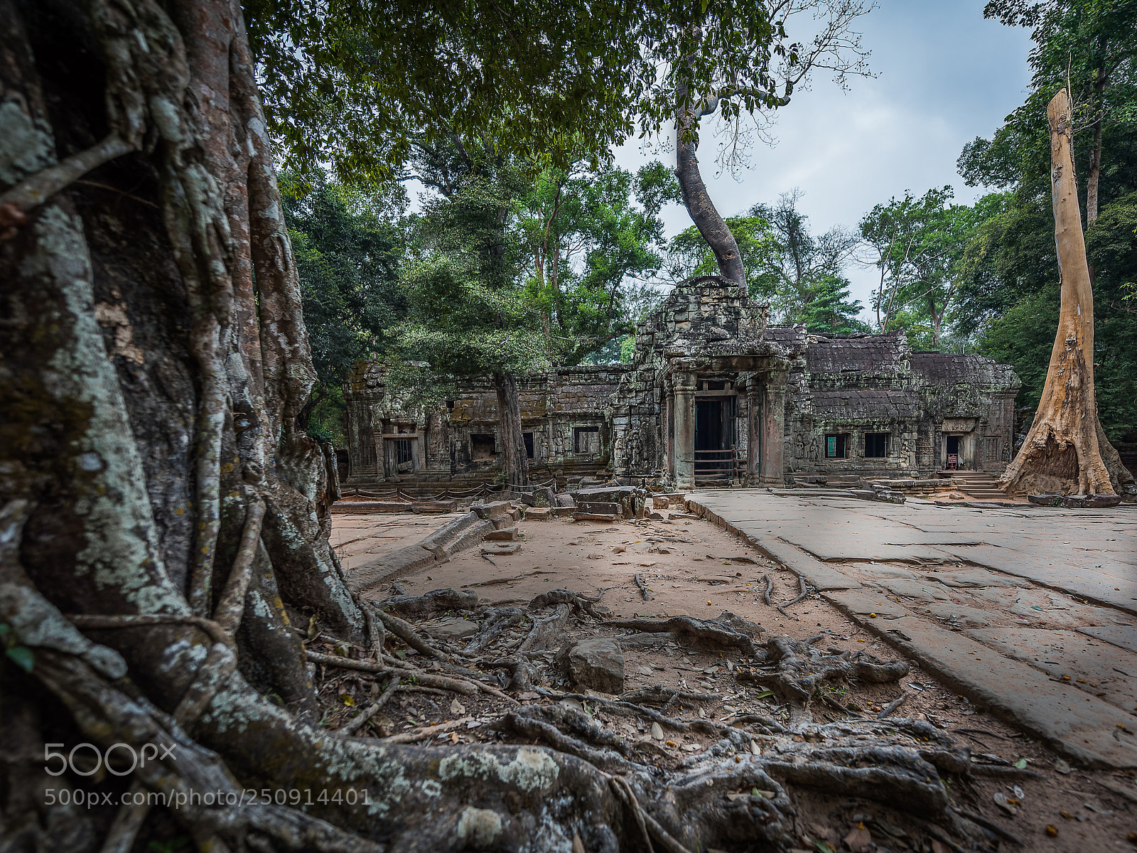 Nikon D810 sample photo. Lost temple cambodia photography