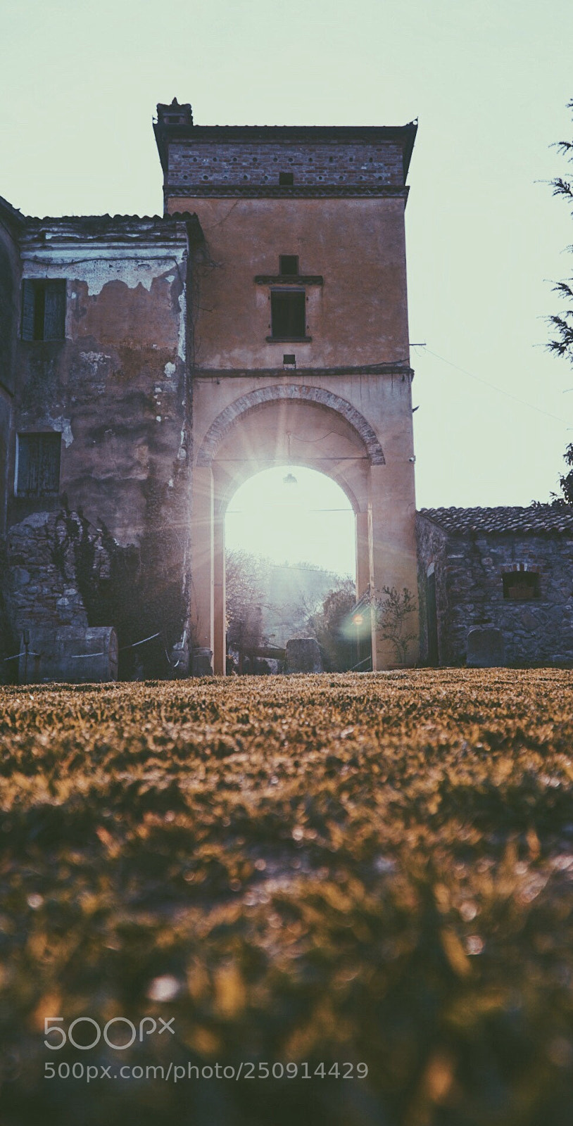 Sony a6000 sample photo. Untitled photography