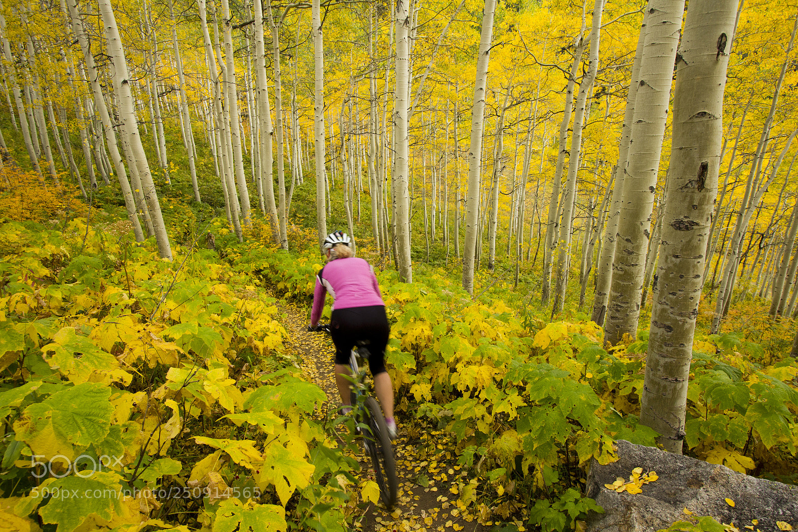Canon EOS 60D sample photo. Mt werner fall photography