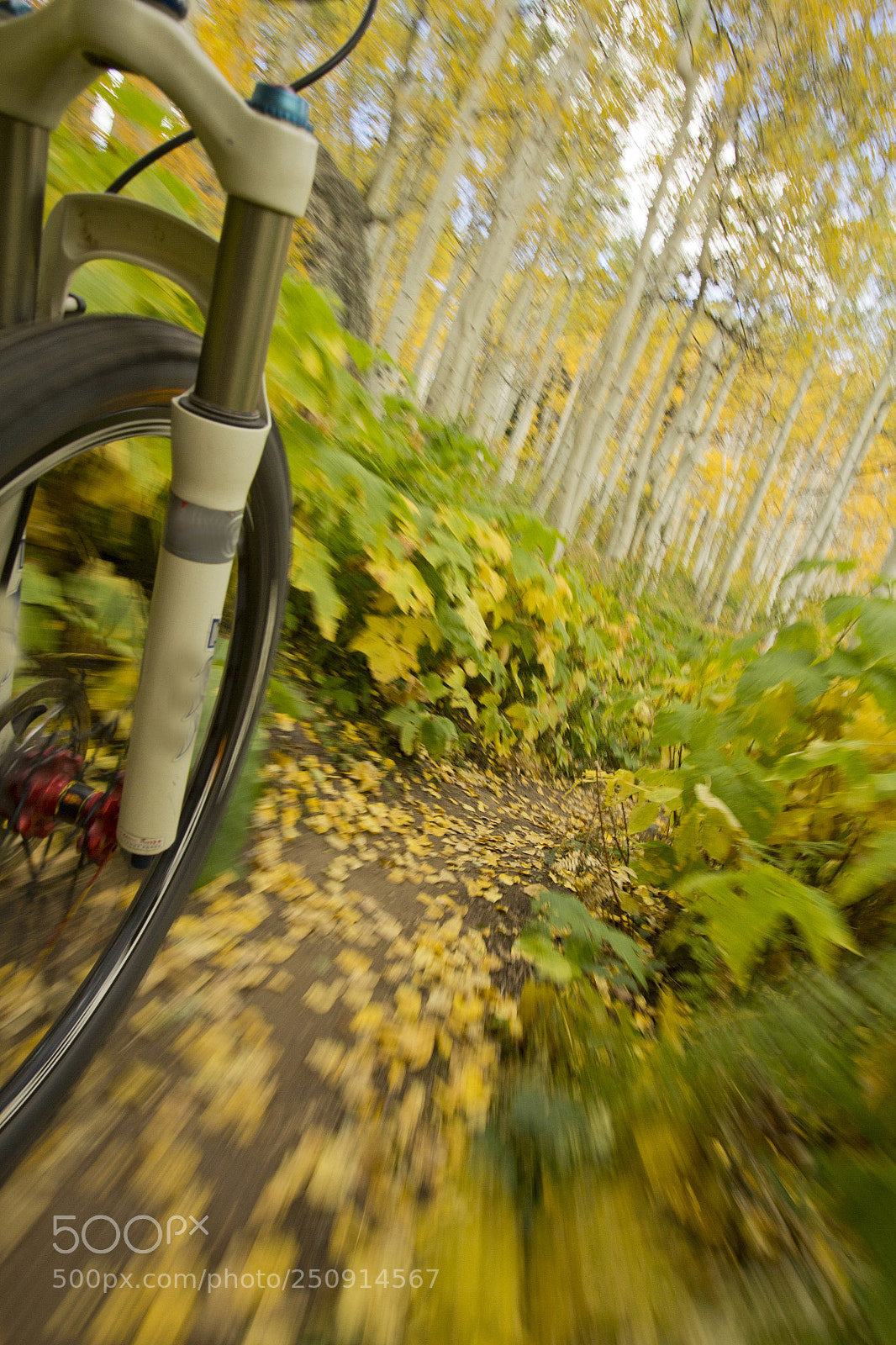 Canon EOS 60D sample photo. Mt werner fall photography
