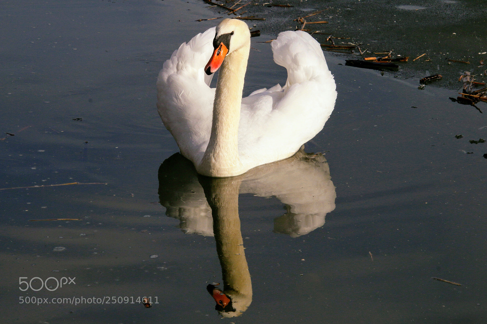 Canon EOS 70D sample photo. It's my place! photography