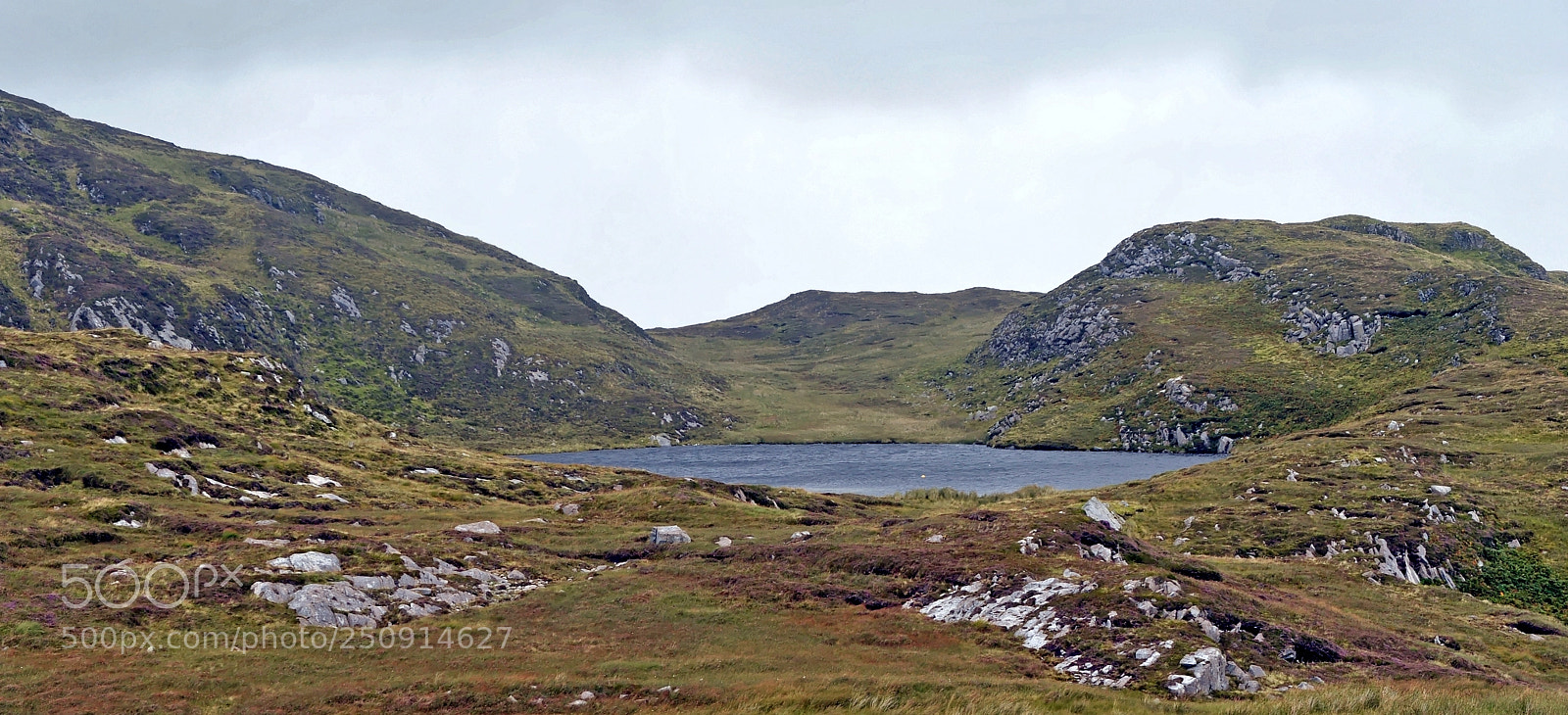 Nikon D700 sample photo. Irlande photography