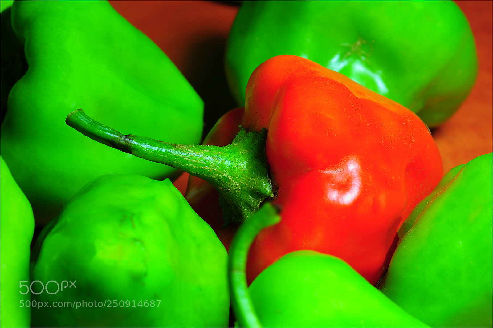 Nikon D700 sample photo. Hot colour photography