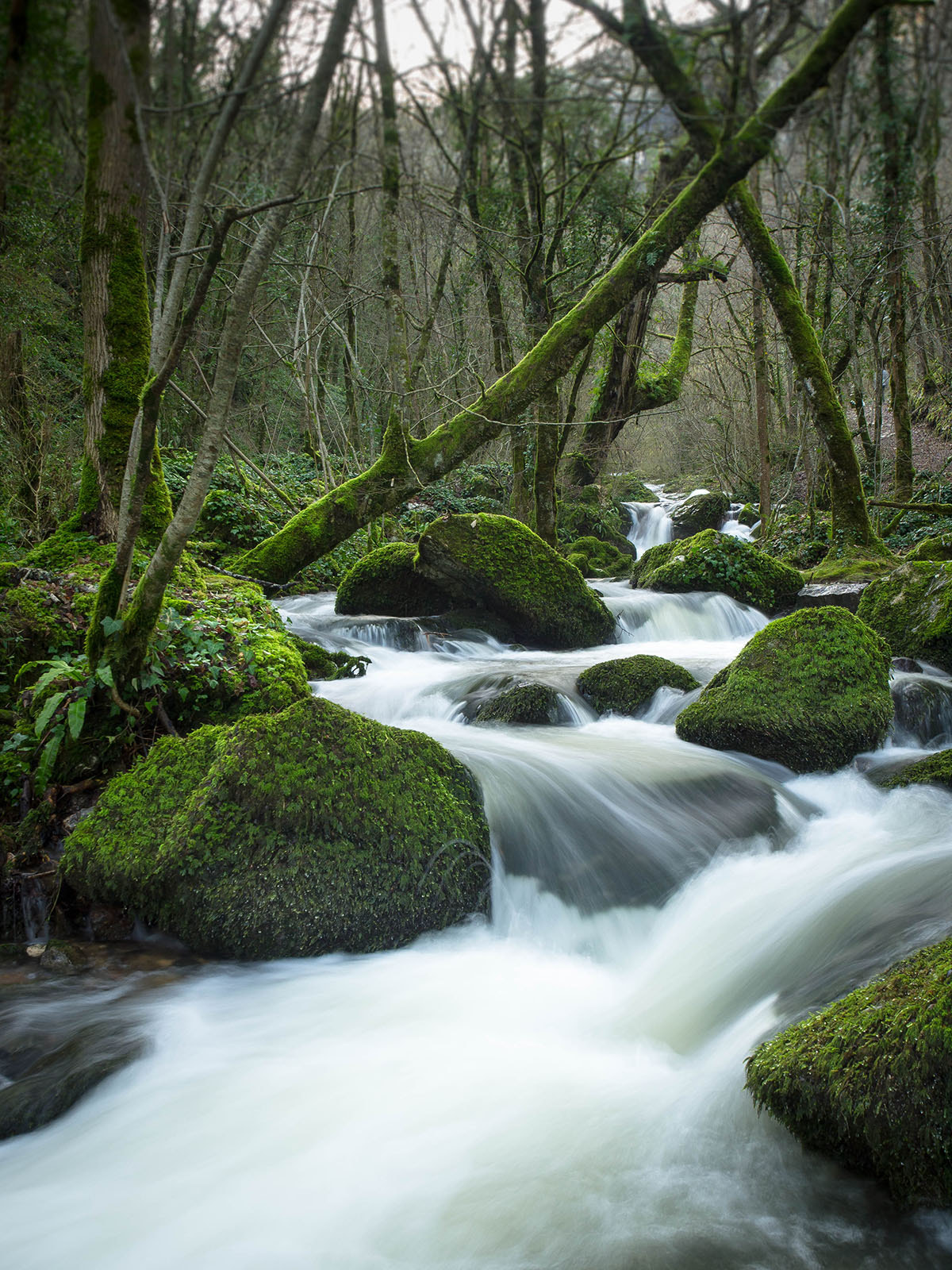 Olympus E-5 sample photo. Il torrente photography