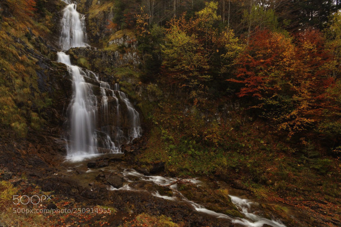 Canon EOS 5D Mark II sample photo. Living colors photography
