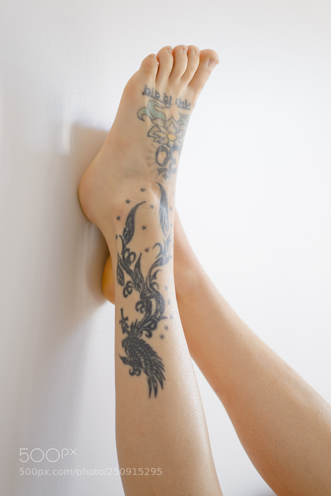 Nikon D600 sample photo. Untitled photography