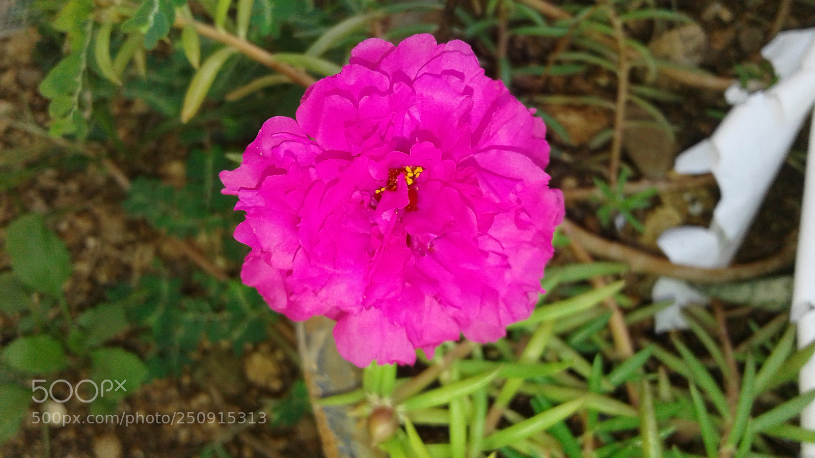 Samsung Galaxy J3(2016) sample photo. 20180324_143531.jpg photography