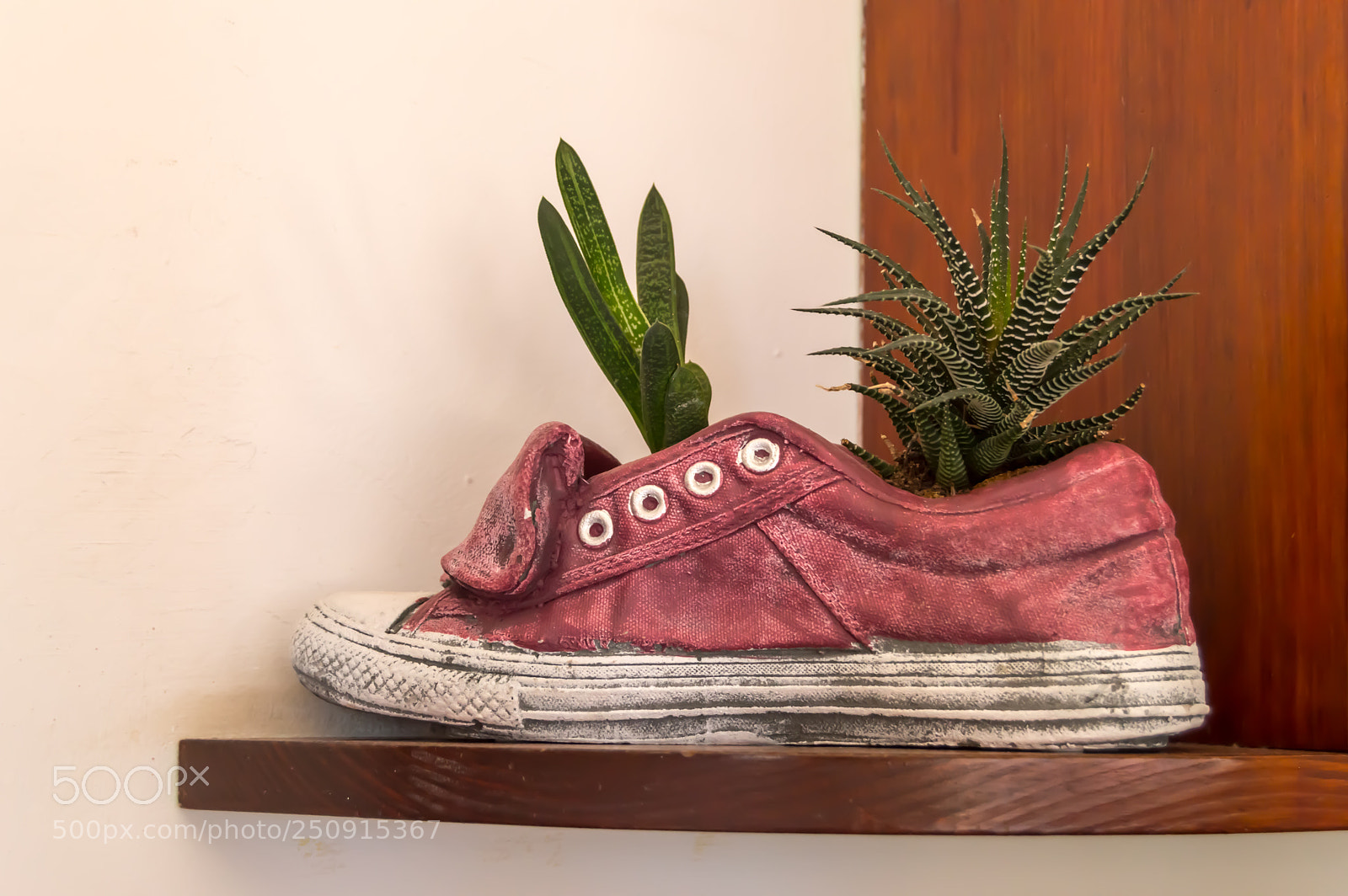 Nikon D3200 sample photo. A pink shoe turn photography