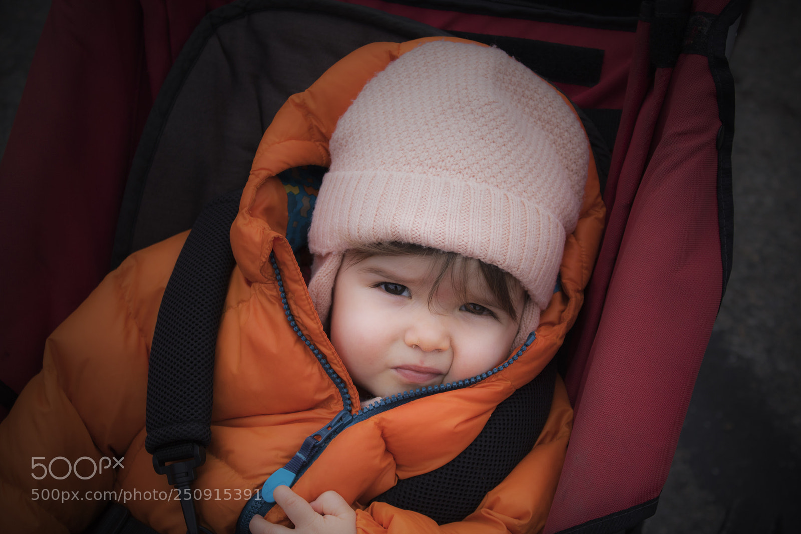 Canon EOS 750D (EOS Rebel T6i / EOS Kiss X8i) sample photo. Le regard d un photography