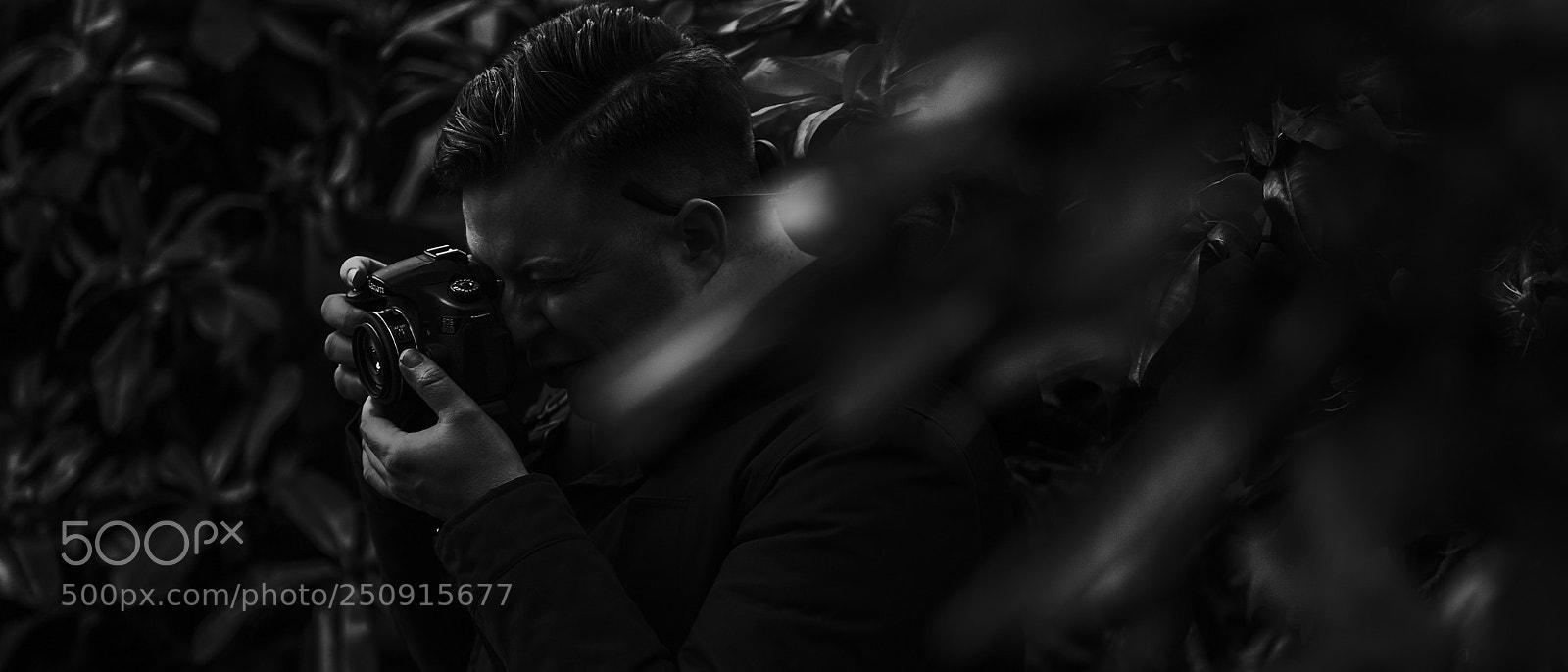 Sony a7S II sample photo. Dsc photography