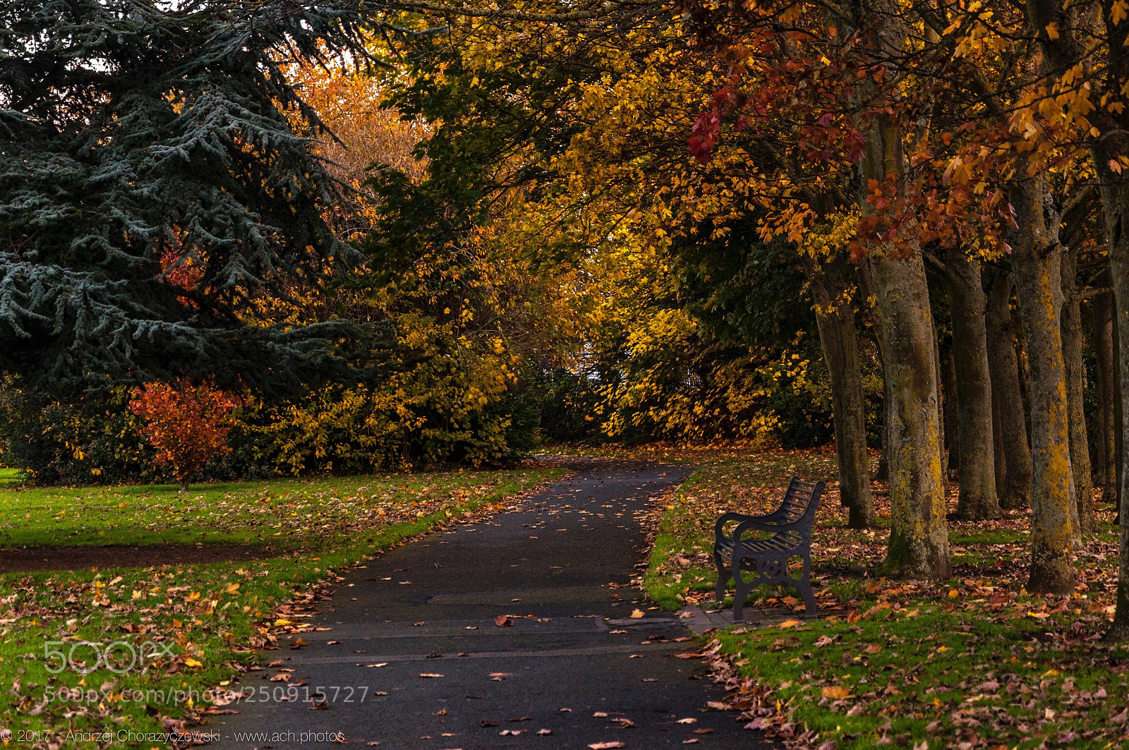 Nikon D90 sample photo. Jamestown park photography