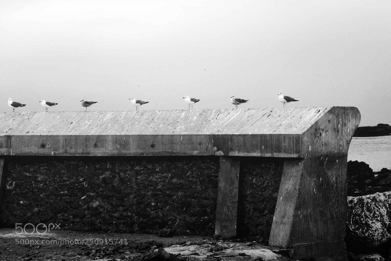Nikon D600 sample photo. Freedom photography