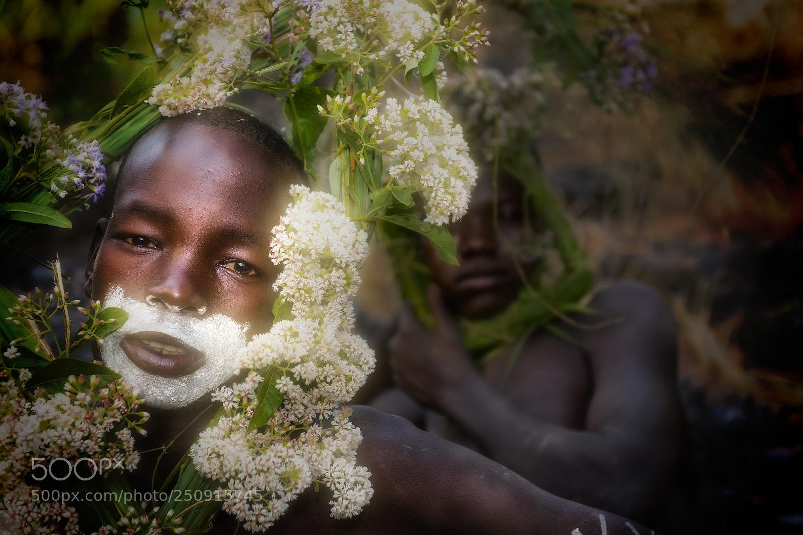 Nikon D810 sample photo. The flowers of life photography