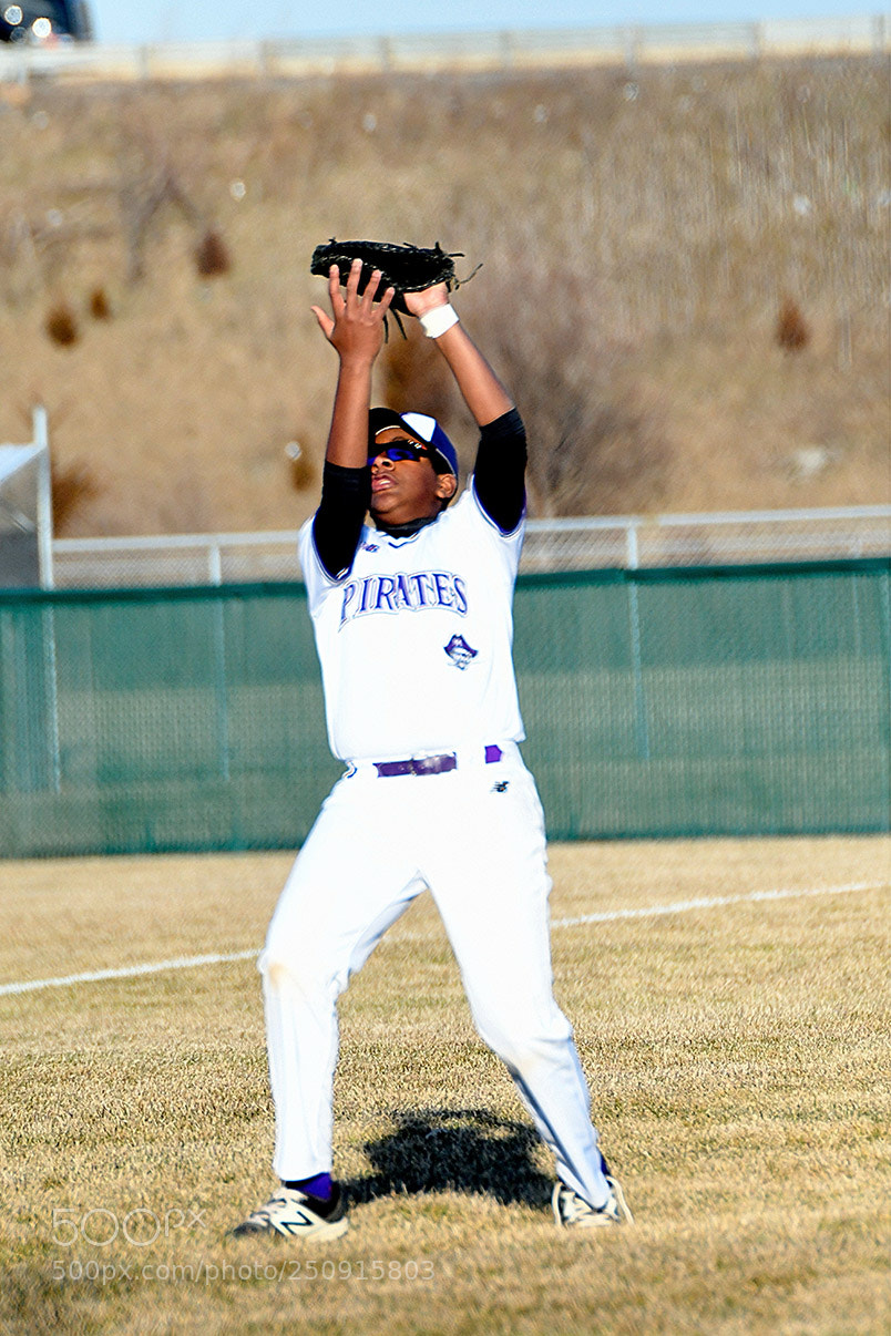 Nikon D500 sample photo. 3-22_0285.jpg photography