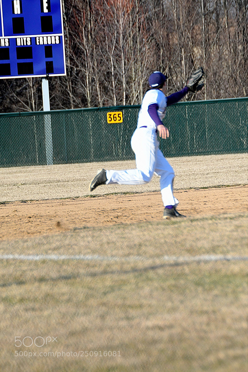 Nikon D500 sample photo. 3-22_0289.jpg photography