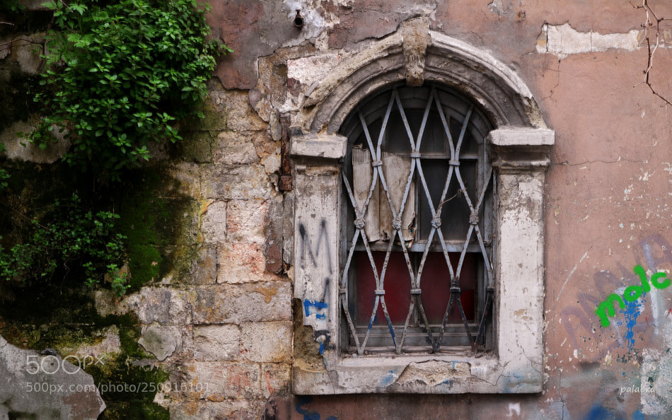 Samsung NX30 sample photo. ... photography