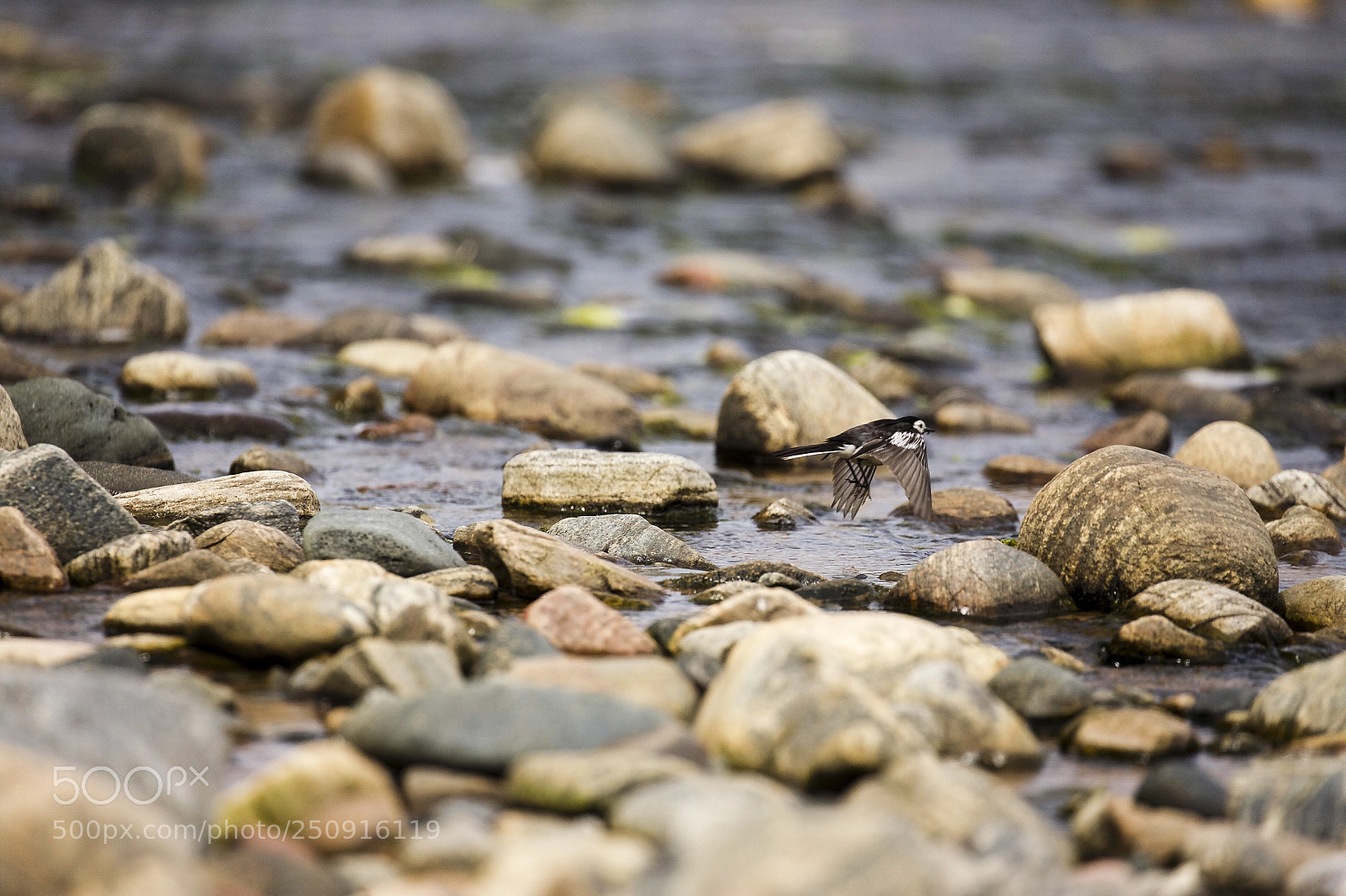 Canon EOS 5D sample photo. Go fast photography