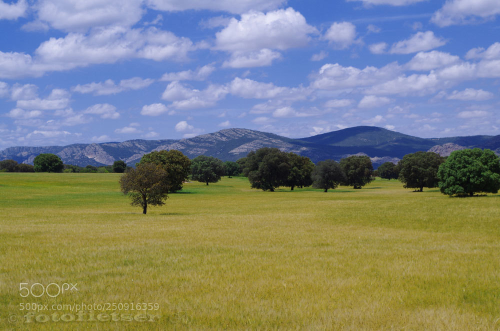 Pentax K-50 sample photo. Omgeving reolid photography